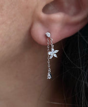 Load image into Gallery viewer, Spring Earrings - Ear drops
