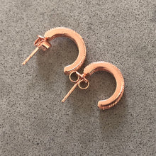 Load image into Gallery viewer, Earring with small double row pave-set stones
