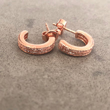 Load image into Gallery viewer, Earring with small double row pave-set stones