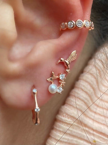 Bone design earring hoops
